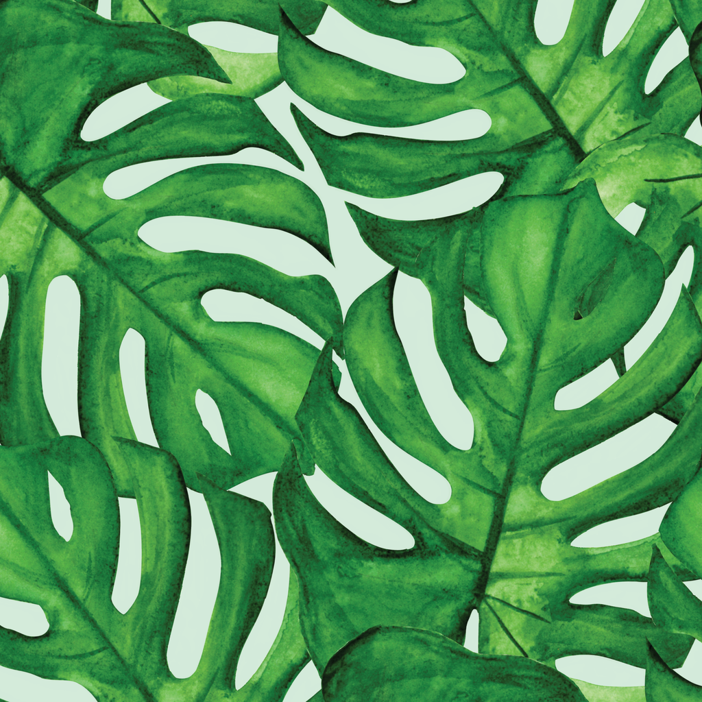 philodendron prices Buy Philodendron Prince of Orange main image 1