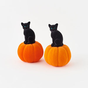 Medium Flocked Cat On Pumpkin