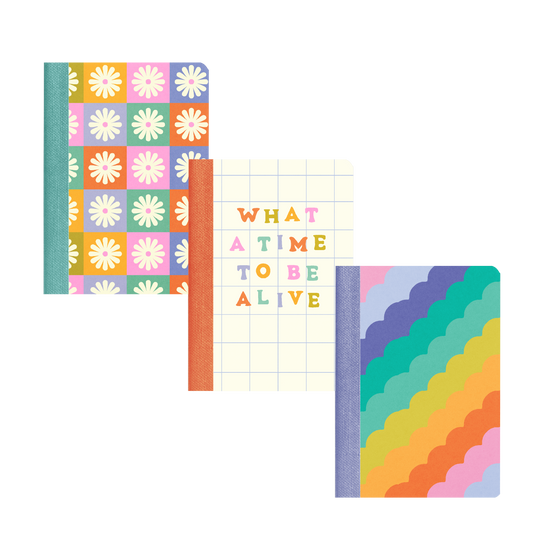 Mini Notebook Set - Delightful