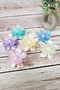 Pearl Effect Jelly Color Daisy Flower Hair Claw Clip