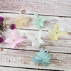 Jelly Color Butterfly Hair Claw Clip