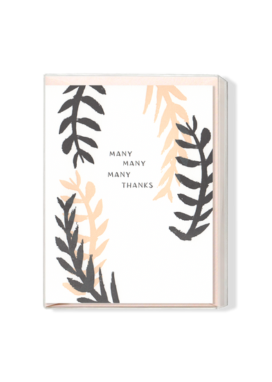 Many Many Many Thanks Boxed Set