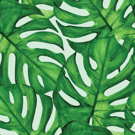 Monstera Wrapping Paper
