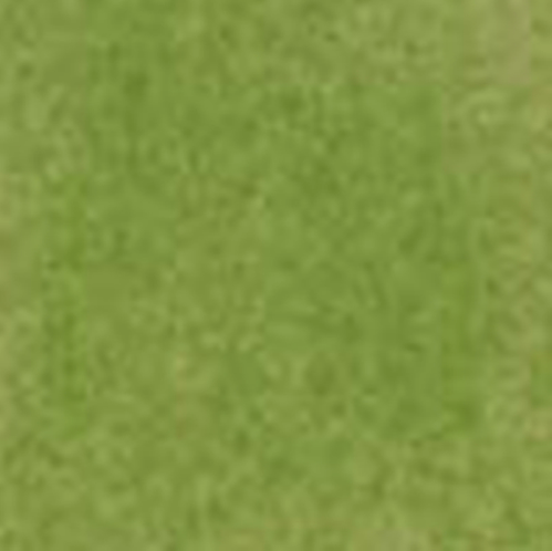 Moss Tissue Paper