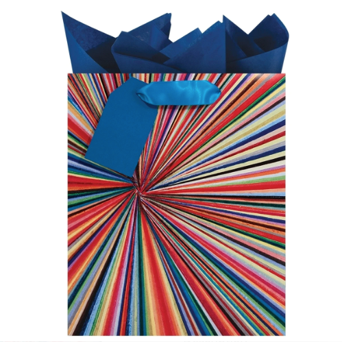 Prism Medium Bag
