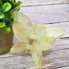 Jelly Color Butterfly Hair Claw Clip